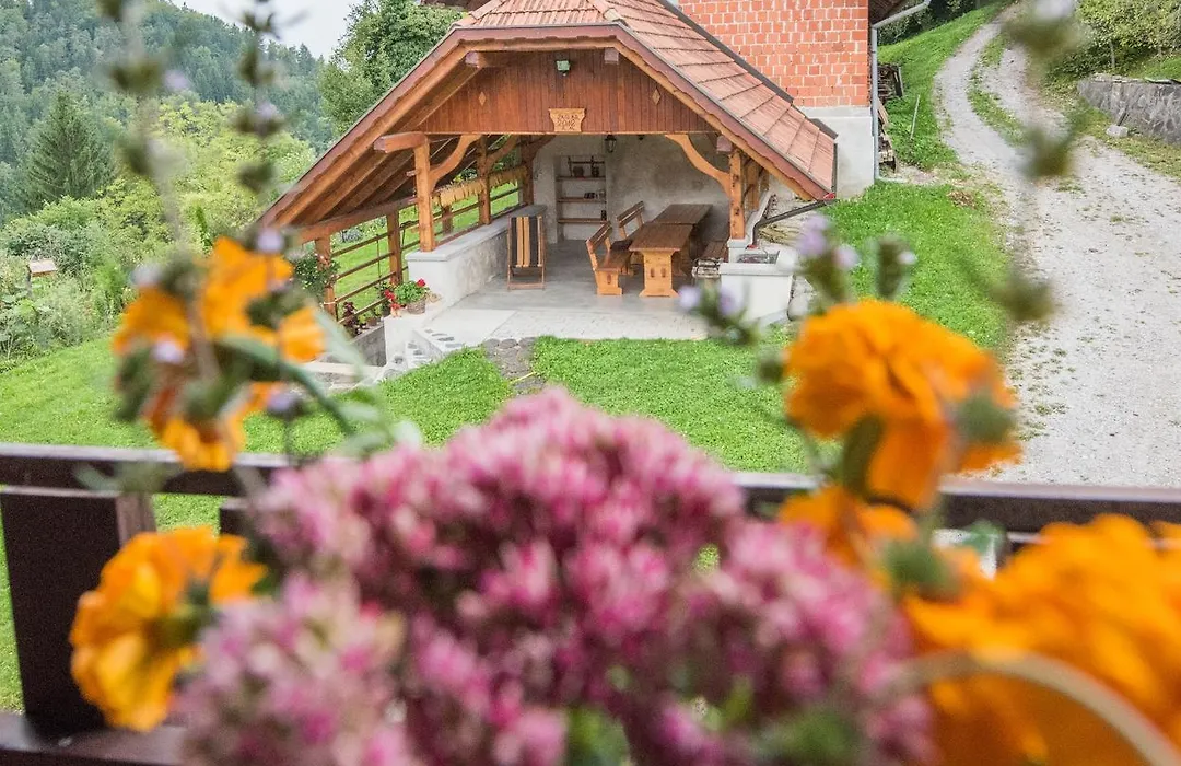 Farm Stay Zagar-1