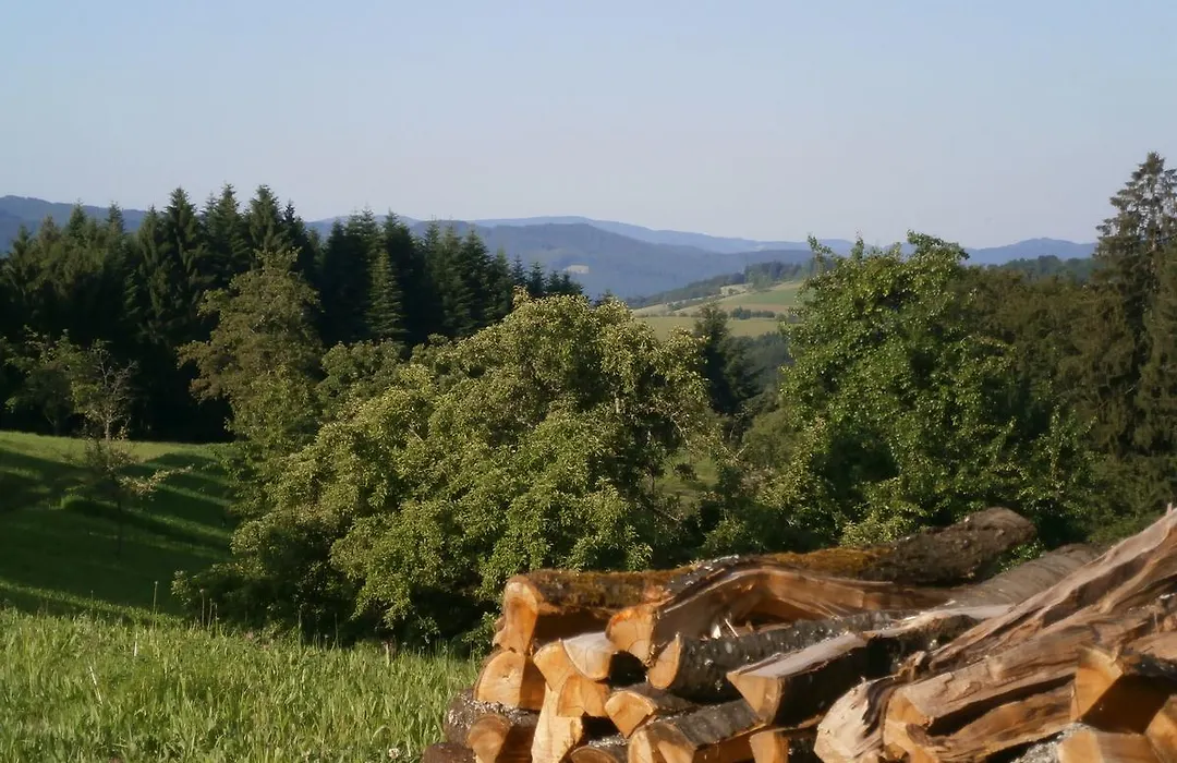 Zuwälder Stüble-1