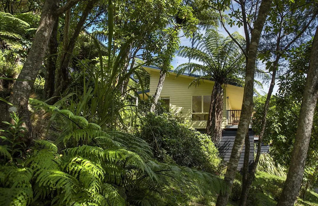 Punga Cove Resort-1