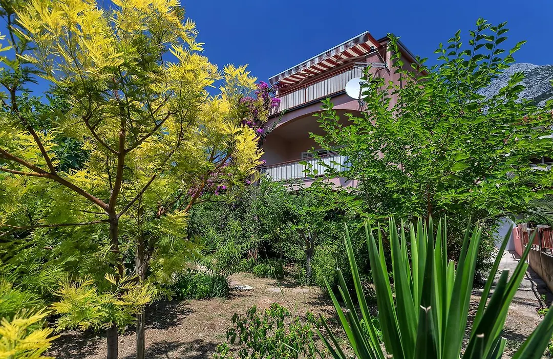 Apartments Roza-1