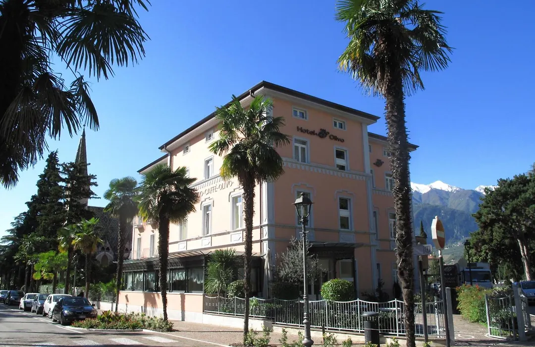 Hotel Olivo-1