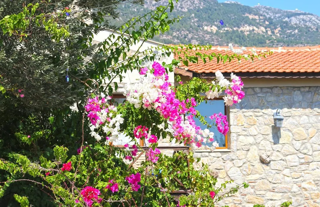 Zephyros Hotel-1