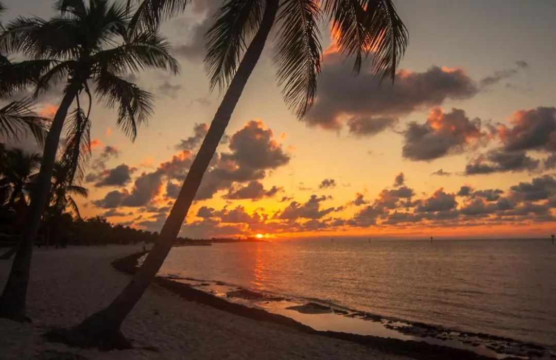 Sunrise Suites Dominican Suite #110-1