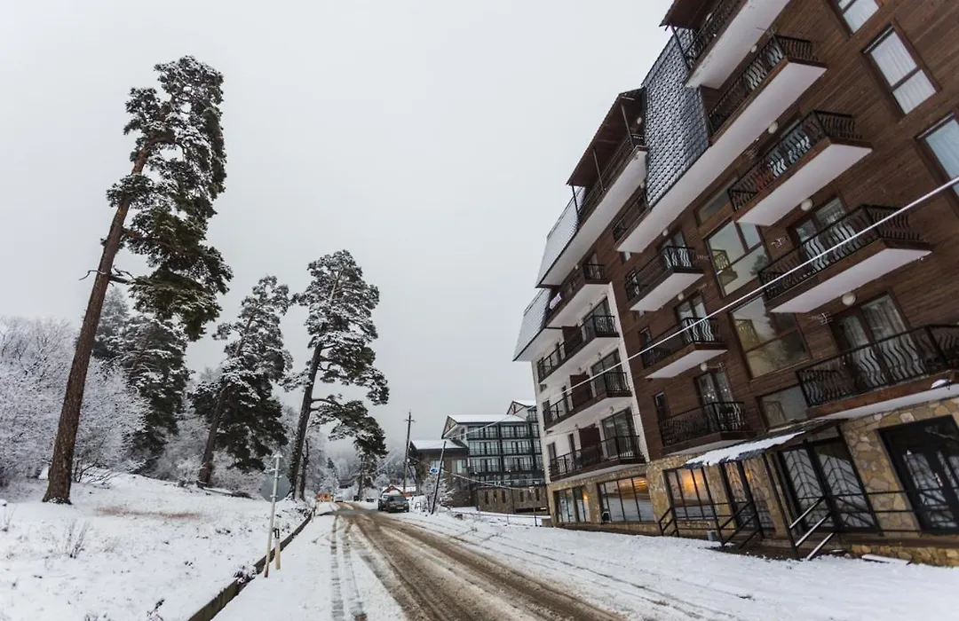2 Room Cozy Apartment In Bakuriani-1