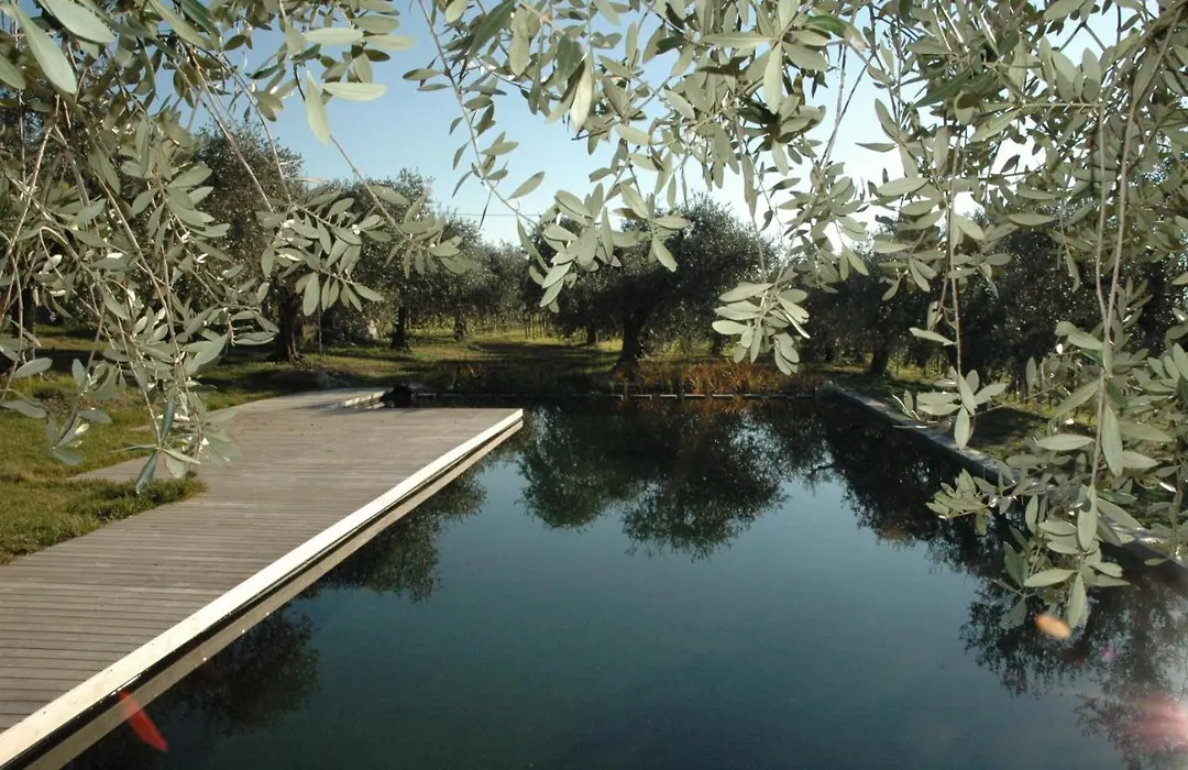 Agriturismo Tenuta La Pergola-1