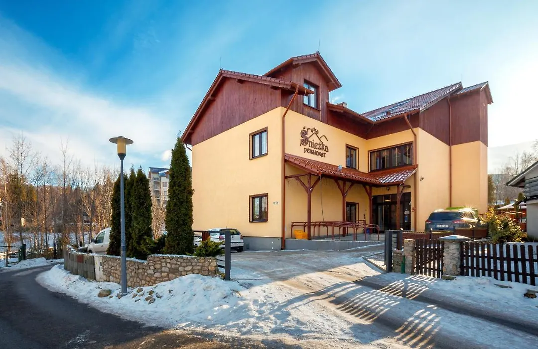 Pensjonat Sniezka Spa-1