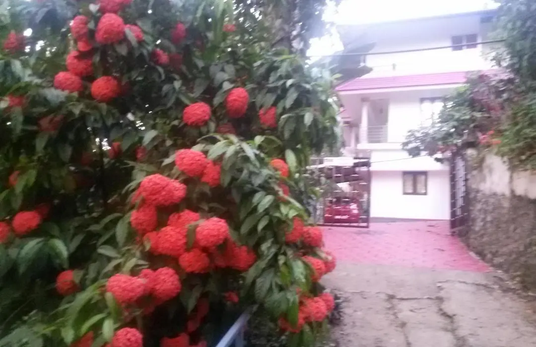 Mount Spring Valley Homestay-1