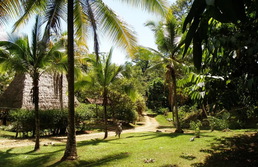 Suital Lodge-1