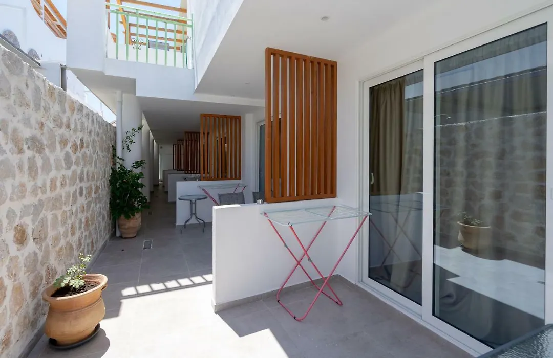 Bivalvia Beach Plus-1
