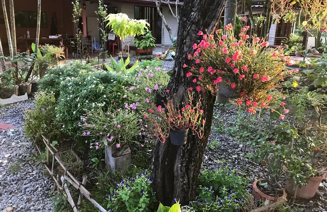 Grandma'S House-1