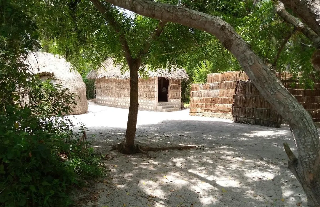 Mida Creek Eco Camp-1