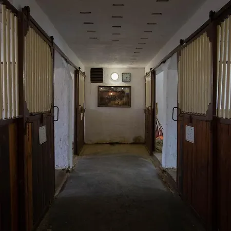 Penzion Stekruv Mlyn-3
