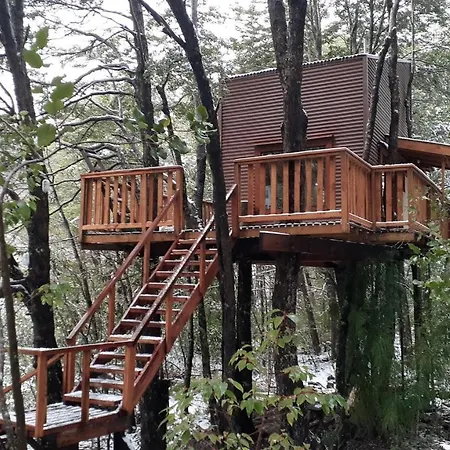 Domos Entre Bosques-2