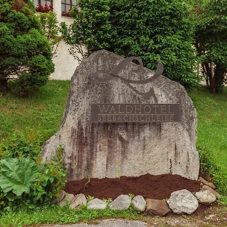 Waldhotel Seebachschleife-2