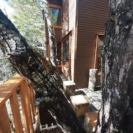 Domos Entre Bosques-3
