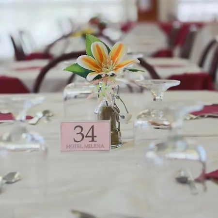 Hotel Milena-3