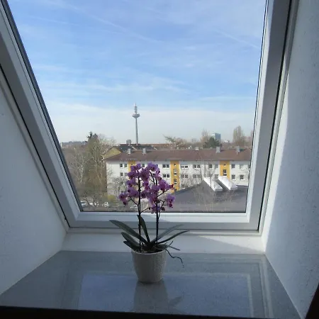 Haus Aja Textor-Goethe-2