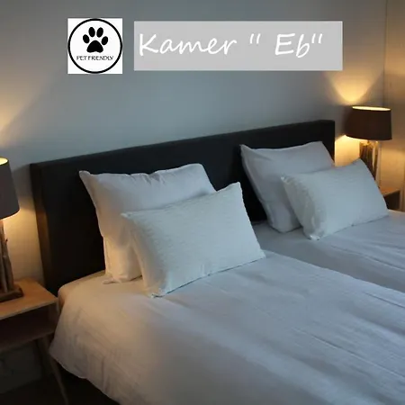 Zilt Texel-3