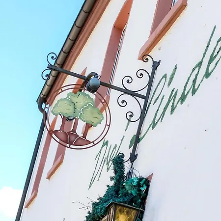 Hotel Gasthof Metzgerei Drei Linden-3