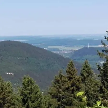 Kuschelnest-2