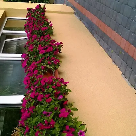 Villa Iris-2