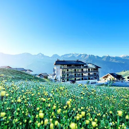 Alps Lodge-2