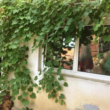 Casa Adrian Camere Centru Vechi-2
