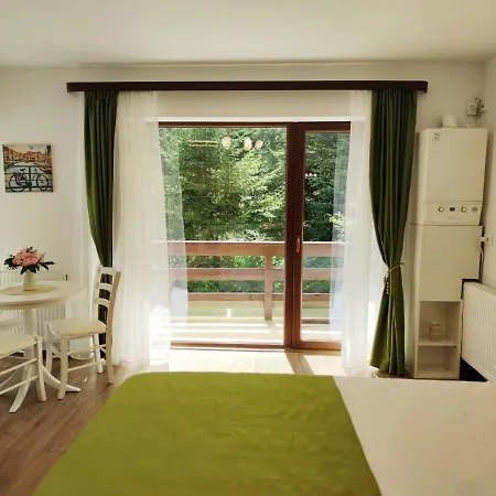 Green Studio-3