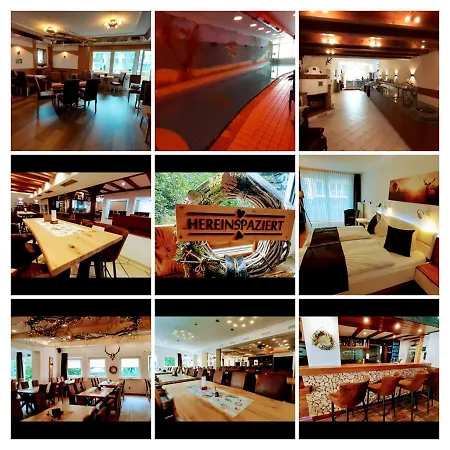 Land-Hotel Haus am Stein Winterberg mit Pool-2