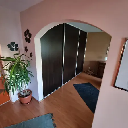 Large, Spacious Apartment Vozdovac-3