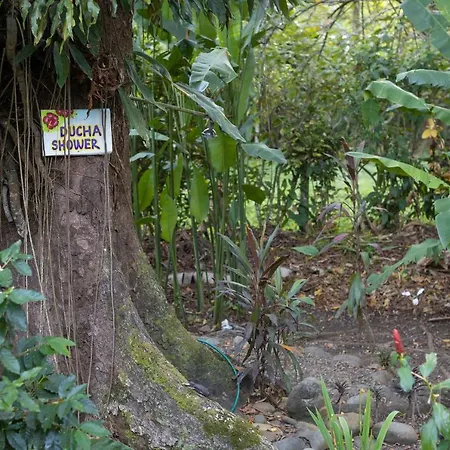 Casa Ylang In Black Sand Beach-2