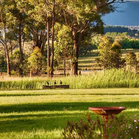 Marigold Cottage, A Blue Mountains Oasis- Spacious, Views & Kangaroos-3