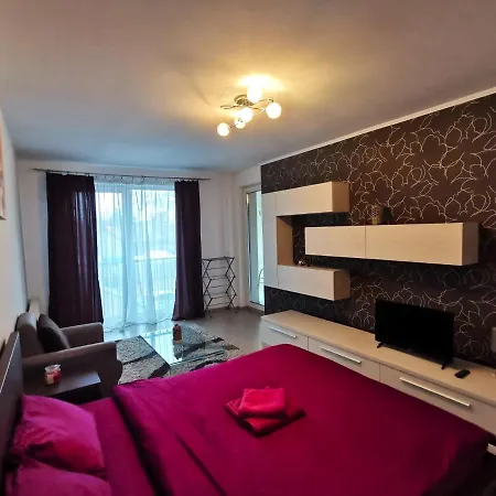 Contemporary Central Apartment In Cluj Napoca-3