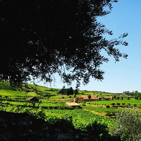 Quinta Do Monte Travesso - Country Houses & Winery-2