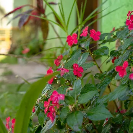Casa De Familia-3