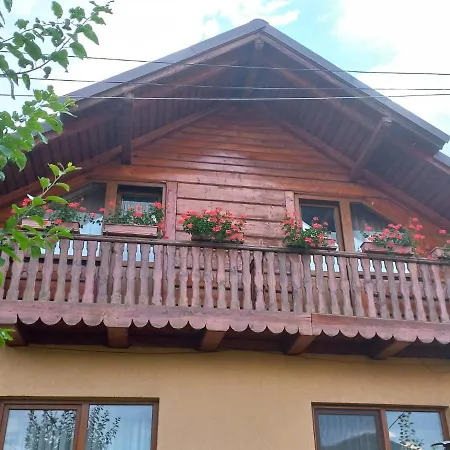 Pensiunea Ghita Vasile-2