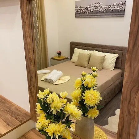 Luxury Apartments-2