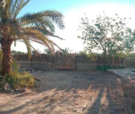 Elysium Resort In Bawiti-2