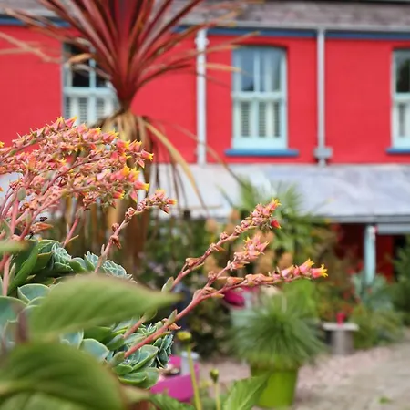 Western House-3