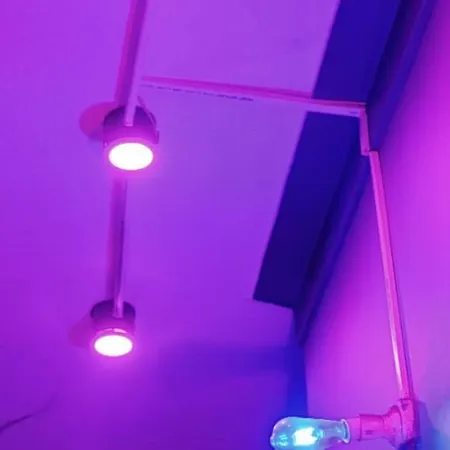 Startup House-3