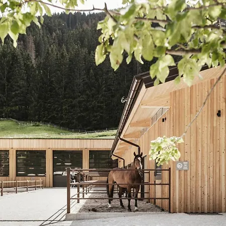 Feuerstein Nature Family Resort-2