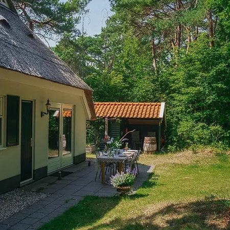 Cottage Hazenhorst - Paradijs Aan Het Bos-3