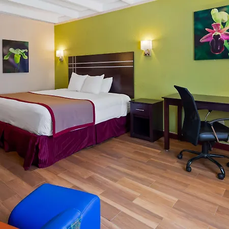 Best Western Orlando West-3