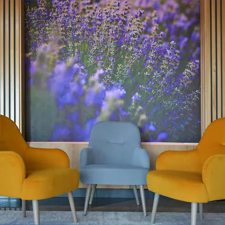 Mercure Medias Binderbubi Hotel And Spa-2