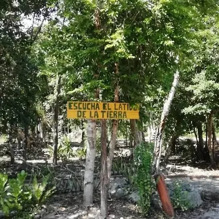 Agua & Selva Luxury Jungle Loft-2