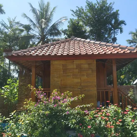 Provok bungalows-2