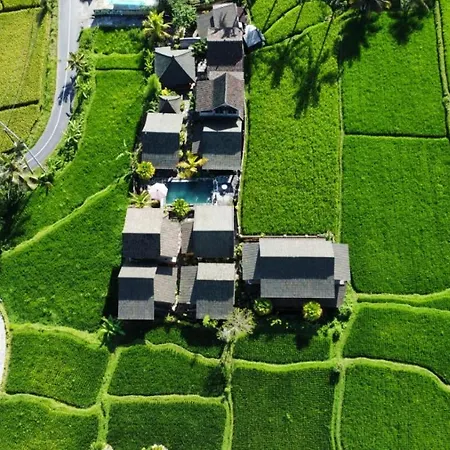 Ananda Jj Ubud Resort & Spa-3
