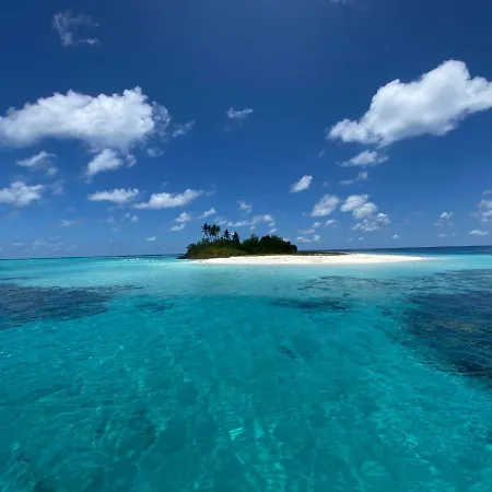 White Coral Rasdhoo-3