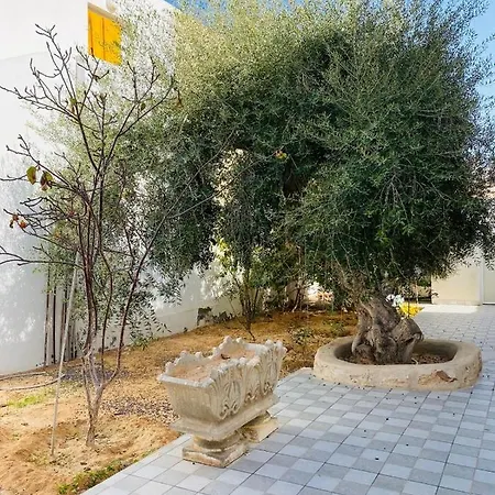 Djerba Dar Baya-2