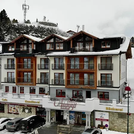Hotel Binggl-3